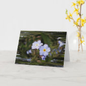 忘れは私は花を カード (黄色い花)