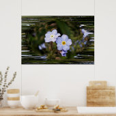 忘れは私は花を ポスター (キッチン)