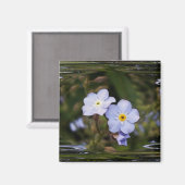 忘れは私は花を マグネット (正面/裏面)