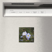 忘れは私は花を マグネット (インサイチュ (食洗機))