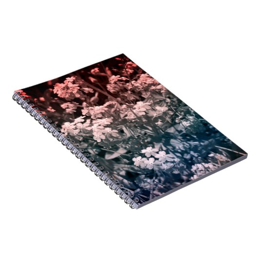 忘れは ノートブック (右側)