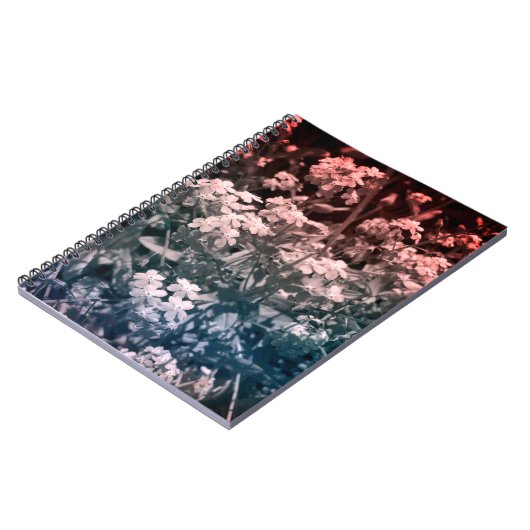 忘れは ノートブック (左側)