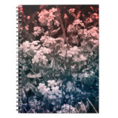 忘れは ノートブック (正面)