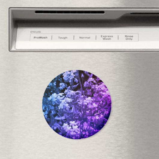 忘れは マグネット (インサイチュ (食洗機))