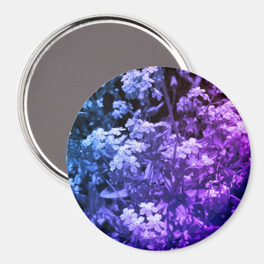 忘れは マグネット (正面/裏面)