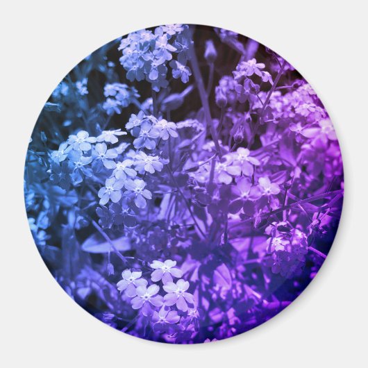 忘れは マグネット (正面)