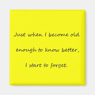 忘れやすい磁石 マグネット