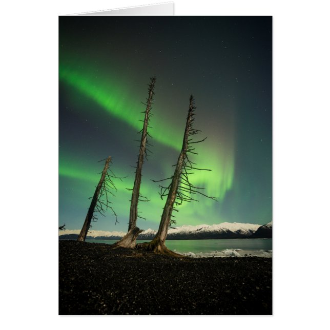 忘れられたスプルースのオーロラ (正面)