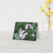 忘れカード カード (黄色い花)