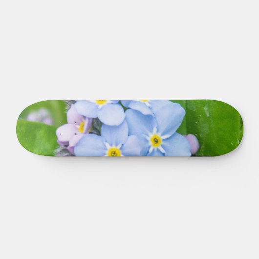 忘れスケートボード スケートボード (横)