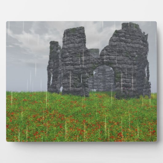 忘れ写真プラーク フォトプラーク (正面)