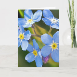 忘れ感謝してい恋の人よよ サンキューカード