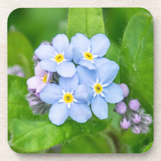 忘れ懸命プラスチックコースター コースター (正面)