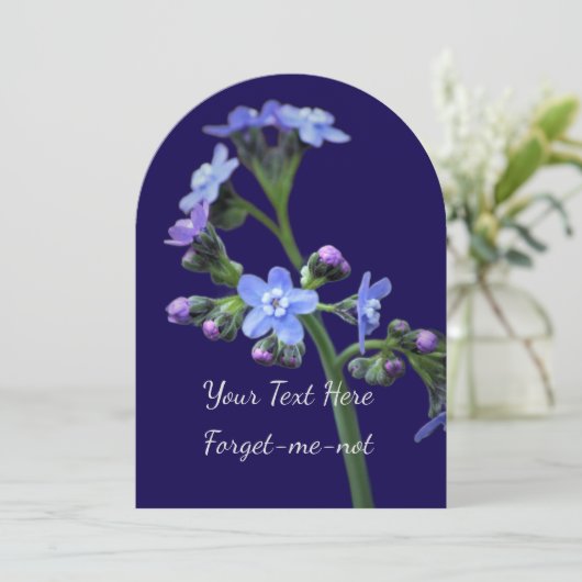 忘れ招待状 招待状 (スタンド正面)