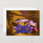 忘れ日没CC0122山草の木に – me-not ポストカード (正面/裏面)