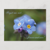 忘れ永遠に永遠に! ポストカード (正面)