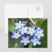 忘れ注2はがき ポストカード (正面/裏面)