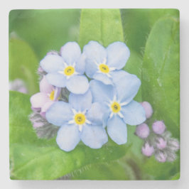 忘れ石コースター ストーンコースター