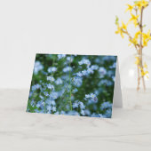 忘れ私ない花カード カード (黄色い花)