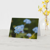 忘れ私ない カード (黄色い花)