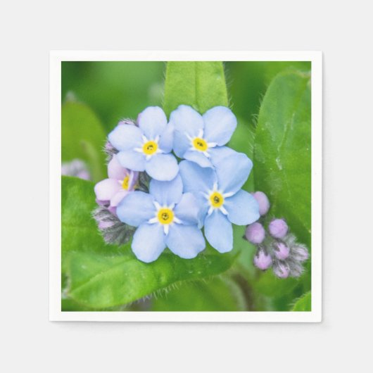 忘れ紙のナプキン スタンダードカクテルナプキン (正面)