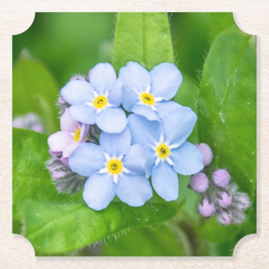 忘れ紙コースター ペーパーコースター (正面)