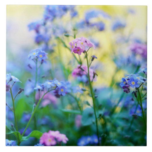 忘れ花 タイル (正面)