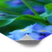 忘れ花 ポスター (角)