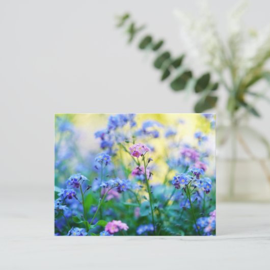 忘れ花 ポストカード (スタンド正面)