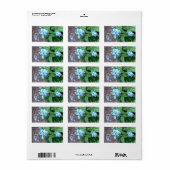 忘れ花 ラベル (フルシート)