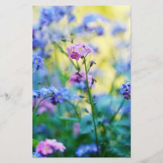 忘れ花 便箋 (正面)