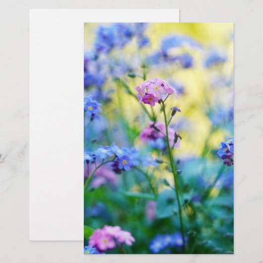 忘れ花 便箋 (正面/裏面)