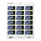 忘れ花・筋炎 ラベル (フルシート)