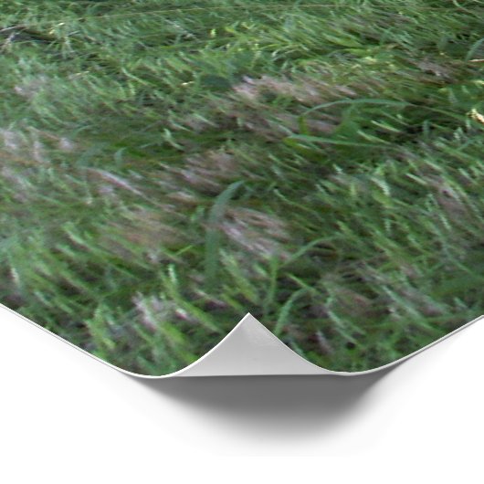 忘れ車 ポスター (角)