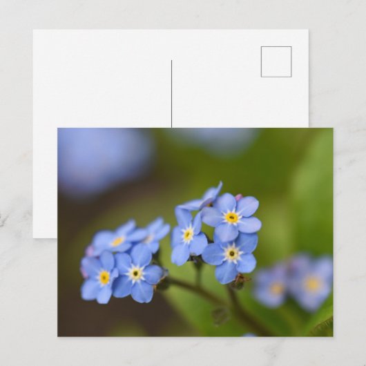 忘れ音 ポストカード (正面/裏面)