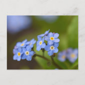 忘れ音 ポストカード (正面)