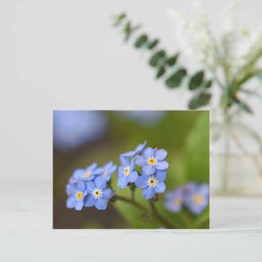 忘れ音 ポストカード (スタンド正面)