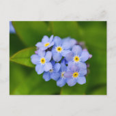 忘れ音 ポストカード (正面)