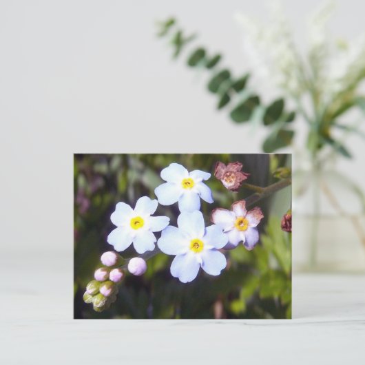 忘れ1はがき ポストカード (スタンド正面)