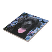 忘れMe Knot – 黒ラブラドール タイル (側面)