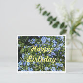 -忘れMe-Not誕生日はがき ポストカード (スタンド正面)