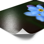 -忘れMe-Nots 10フォトプリント フォトプリント (角)