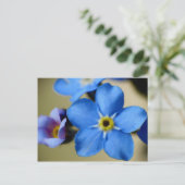 -忘れMe-Nots 11ポストカード ポストカード (スタンド正面)