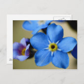 -忘れMe-Nots 11ポストカード ポストカード (正面/裏面)