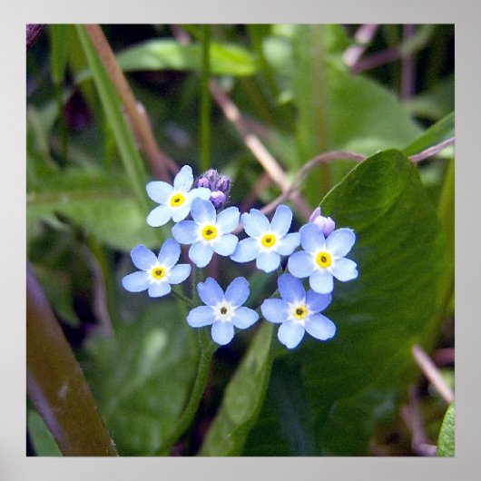 忘れMe Nots 2ポスター ポスター (正面)