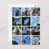 -忘れMe-Nots Montage 1ポストカード ポストカード (正面/裏面)