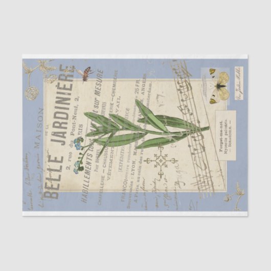 忘れSeupage用にフレームされたハネビーのない 薄葉紙 (正面)