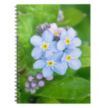 忘れSpiral Photo Notebook