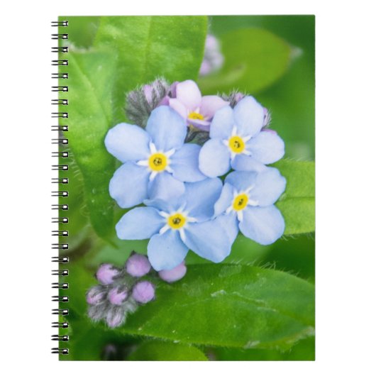 忘れSpiral Photo Notebook ノートブック (正面)