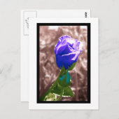 忘却 ポストカード (正面/裏面)